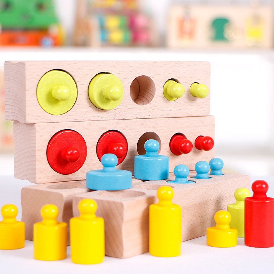 Montessori Wooden Knobbed Cylinders – Educational Toy for Kids